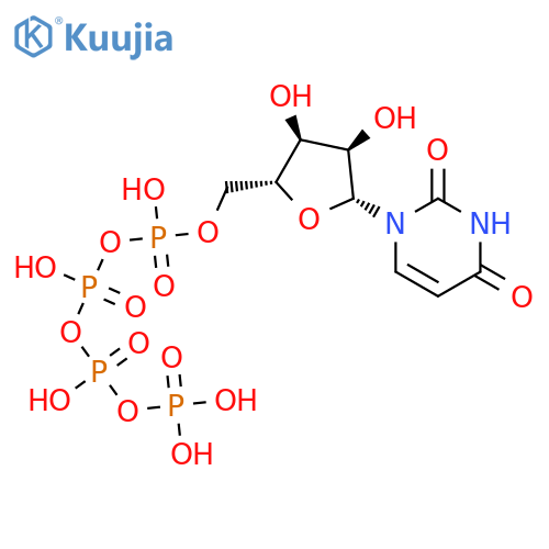 Uridine5'-(pentahydrogen tetraphosphate) (9CI) structure