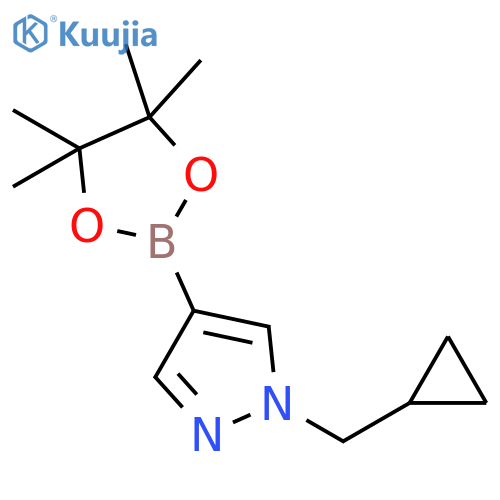 1-(cyclopropylmethyl)-4-(tetramethyl-1,3,2-dioxaborolan-2-yl)-1H-pyrazole structure