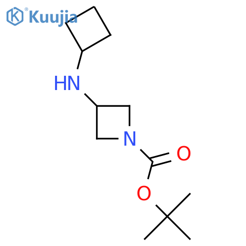 Tert-Butyl 3-(cyclobutylamino)azetidine-1-carboxylate structure