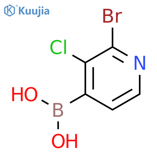 2-Bromo-3-chloropyridine-4-boronic acid structure