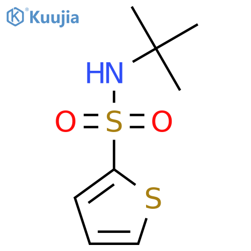 N-Tert-Butyl-2-thiophenesulfonamide structure