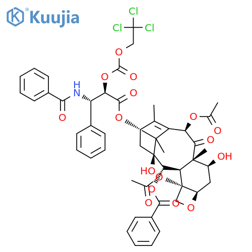 2’-O-{(2,2,2,-Trichloroethyl)oxycarbonyl Paclitaxel structure