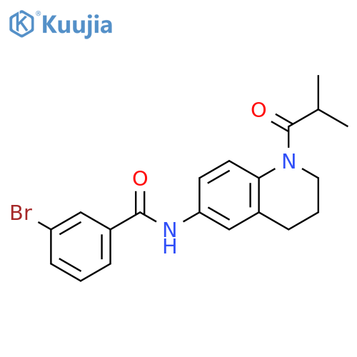 3-bromo-N-[1-(2-methylpropanoyl)-1,2,3,4-tetrahydroquinolin-6-yl]benzamide structure