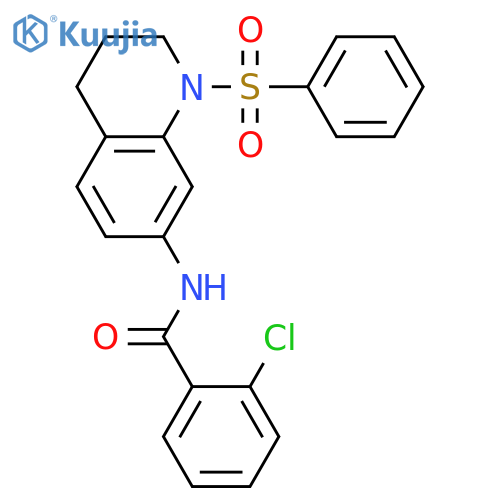 N-[1-(benzenesulfonyl)-1,2,3,4-tetrahydroquinolin-7-yl]-2-chlorobenzamide structure