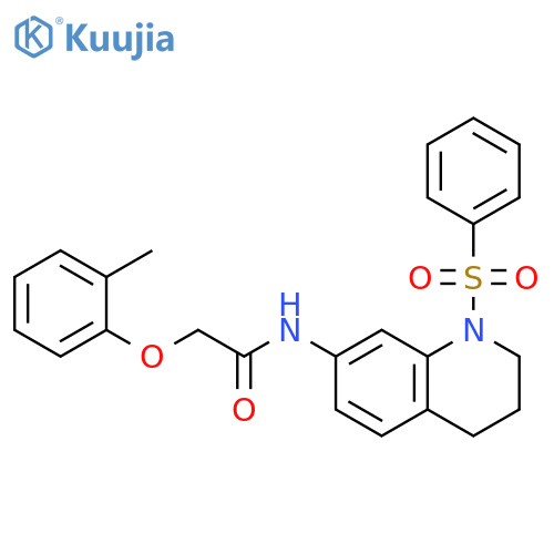 N-[1-(benzenesulfonyl)-1,2,3,4-tetrahydroquinolin-7-yl]-2-(2-methylphenoxy)acetamide structure