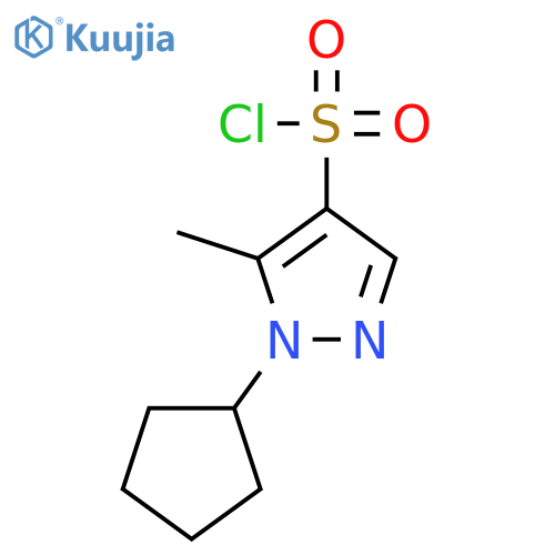 1-cyclopentyl-5-methyl-1H-pyrazole-4-sulfonyl chloride structure