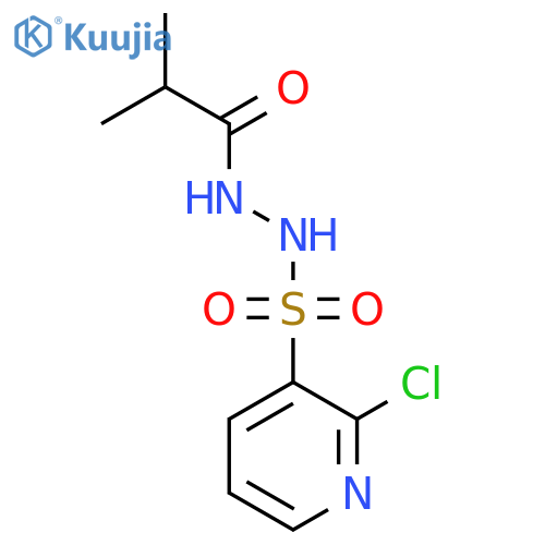 N'-(2-chloropyridin-3-yl)sulfonyl-2-methylpropanehydrazide structure