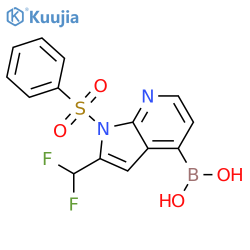 B-[2-(difluoromethyl)-1-(phenylsulfonyl)-1H-pyrrolo[2,3-b]pyridin-4-yl]-Boronic acid structure