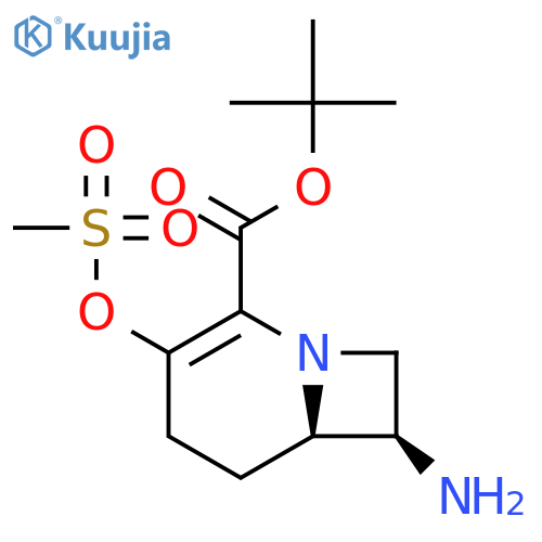 1-Azabicyclo[4.2.0]oct-2-ene-2-carboxylic acid, 7-amino-3-[(methylsulfonyl)oxy]-, 1,1-dimethylethyl ester, trans- structure