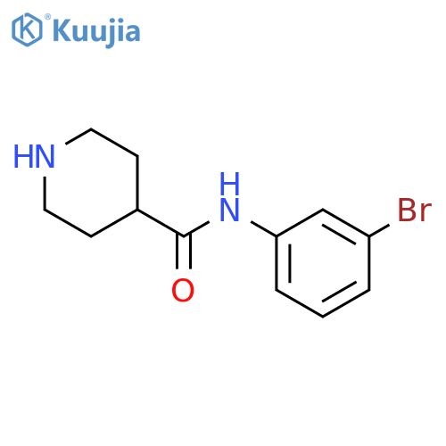 N-(3-bromophenyl)piperidine-4-carboxamide structure