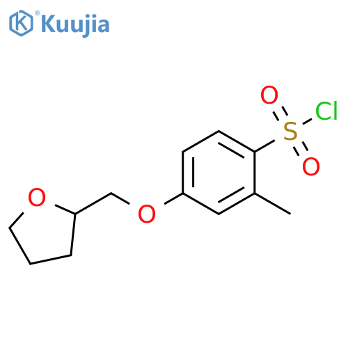 2-methyl-4-[(oxolan-2-yl)methoxy]benzene-1-sulfonyl chloride structure