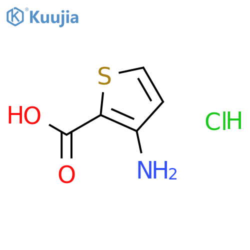 3-Aminothiophene-2-carboxylic acid hydrochloride structure