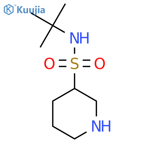 N-tert-butylpiperidine-3-sulfonamide structure