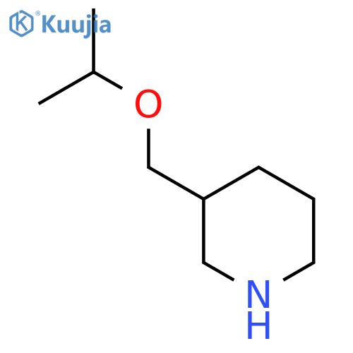 3-(propan-2-yloxy)methylpiperidine structure