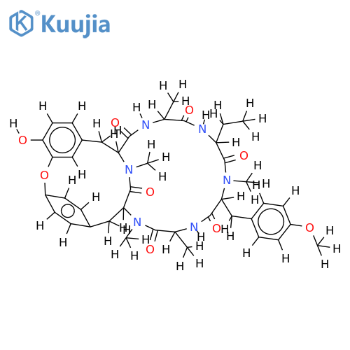 RA-XXI structure