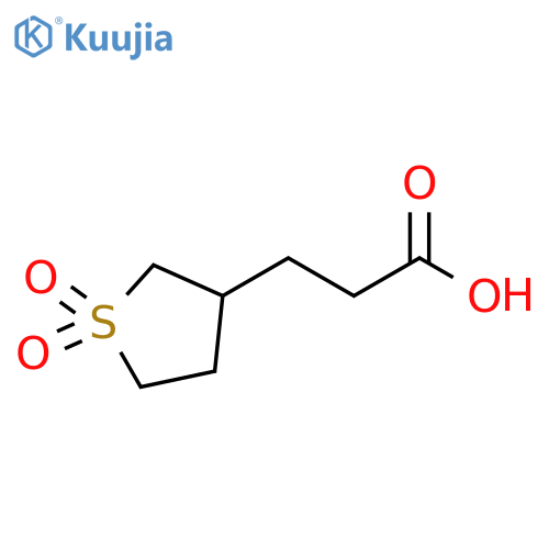 3-(1,1-dioxo-1λ?-thiolan-3-yl)propanoic acid structure