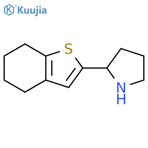 2-(4,5,6,7-tetrahydro-1-benzothiophen-2-yl)pyrrolidine structure