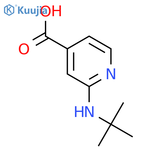 2-(Tert-butylamino)isonicotinic acid structure