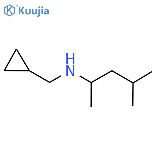 (Cyclopropylmethyl)(4-methylpentan-2-yl)amine structure