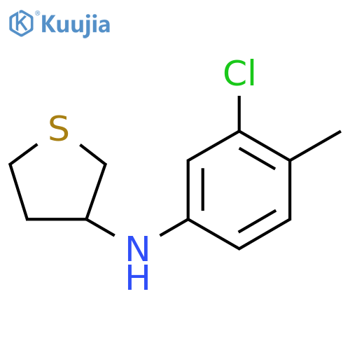 N-(3-chloro-4-methylphenyl)thiolan-3-amine structure
