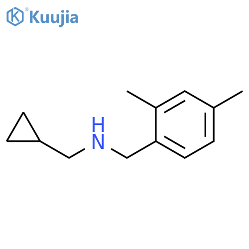 (cyclopropylmethyl)(2,4-dimethylphenyl)methylamine structure