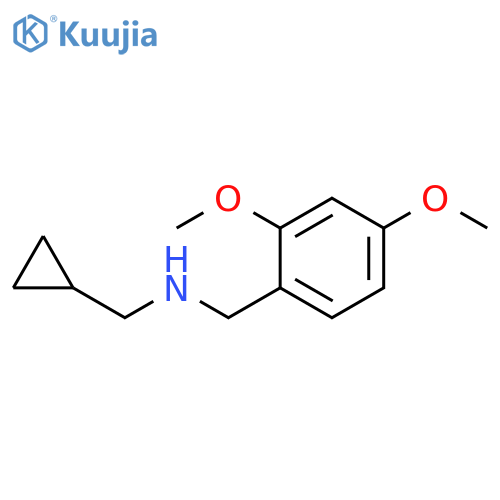 (Cyclopropylmethyl)(2,4-dimethoxyphenyl)methylamine structure