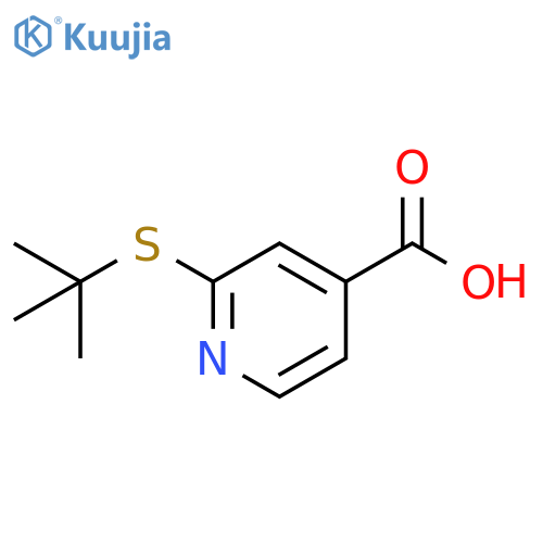 2-(tert-butylsulfanyl)pyridine-4-carboxylic acid structure