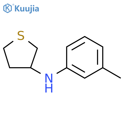 N-(3-methylphenyl)thiolan-3-amine structure