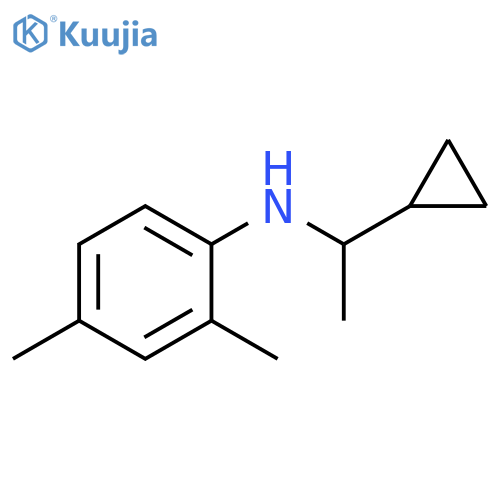 N-(1-cyclopropylethyl)-2,4-dimethylaniline structure