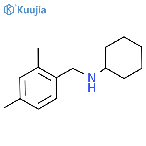 N-[(2,4-dimethylphenyl)methyl]cyclohexanamine structure
