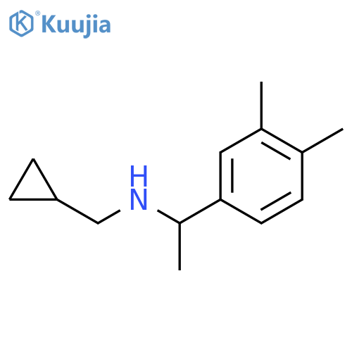 (cyclopropylmethyl)1-(3,4-dimethylphenyl)ethylamine structure