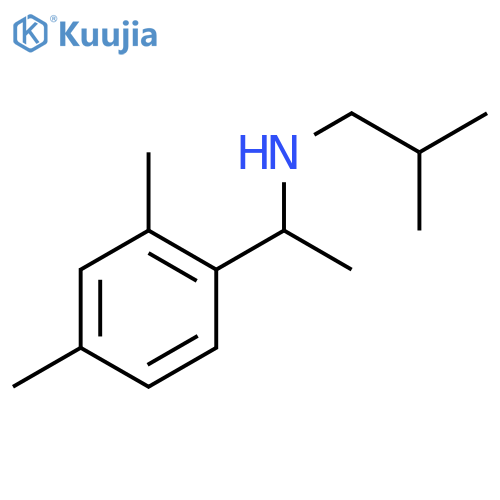 1-(2,4-dimethylphenyl)ethyl(2-methylpropyl)amine structure