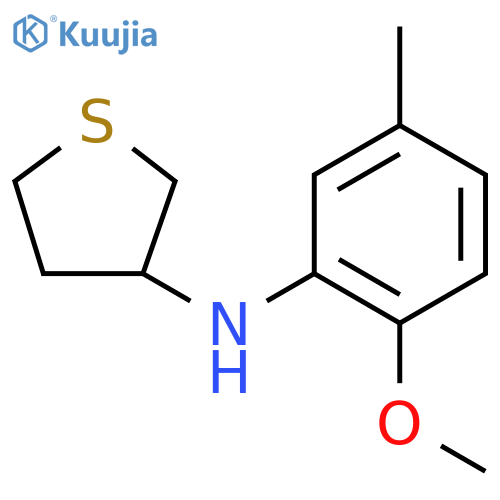 N-(2-methoxy-5-methylphenyl)thiolan-3-amine structure