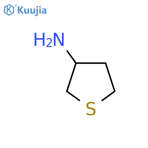 thiolan-3-amine structure