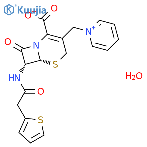 Cephaloridine Monohydrate structure