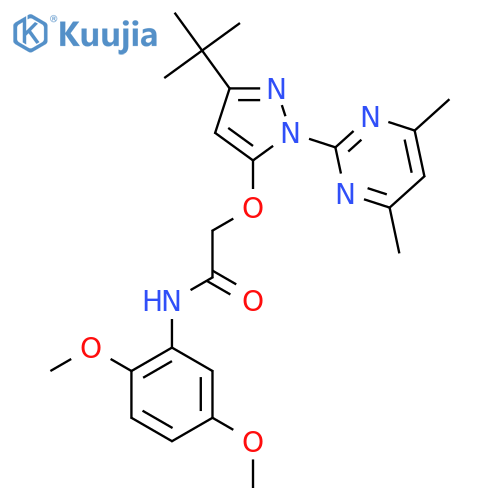 2-{[3-tert-butyl-1-(4,6-dimethylpyrimidin-2-yl)-1H-pyrazol-5-yl]oxy}-N-(2,5-dimethoxyphenyl)acetamide structure