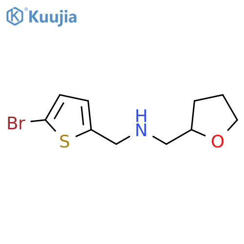 [(5-bromothiophen-2-yl)methyl][(oxolan-2-yl)methyl]amine structure