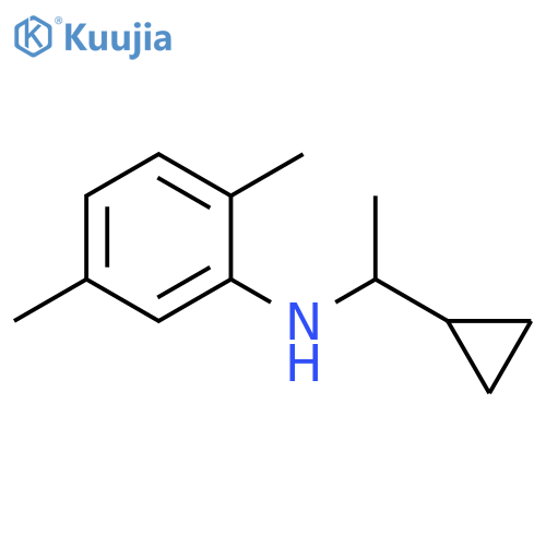 N-(1-cyclopropylethyl)-2,5-dimethylaniline structure