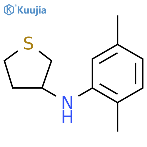 N-(2,5-dimethylphenyl)thiolan-3-amine structure