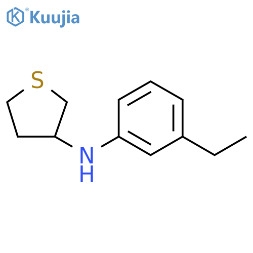 N-(3-ethylphenyl)thiolan-3-amine structure
