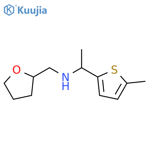 [1-(5-methylthiophen-2-yl)ethyl][(oxolan-2-yl)methyl]amine structure