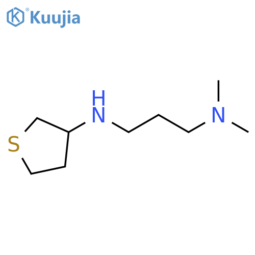 N-[3-(dimethylamino)propyl]thiolan-3-amine structure