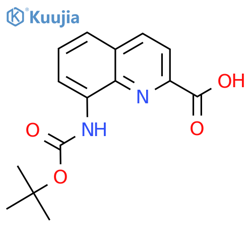 8-((Tert-Butoxycarbonyl)amino)quinoline-2-carboxylic acid structure