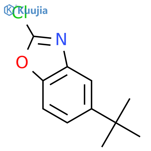 5-tert-Butyl-2-chloro-1,3-benzoxazole structure