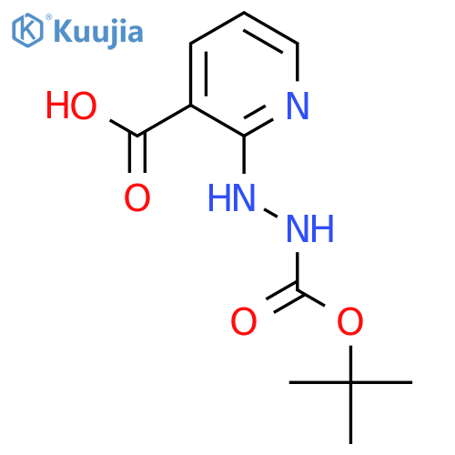 2-[2-(Tert-Butoxycarbonyl)hydrazino]nicotinic acid structure