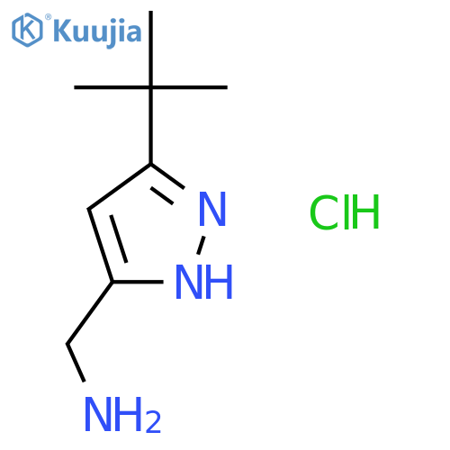 (5-tert-butyl-1H-pyrazol-3-yl)methylamine structure