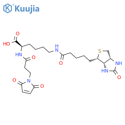 3-(N-Maleimidylpropionyl)biocytin structure