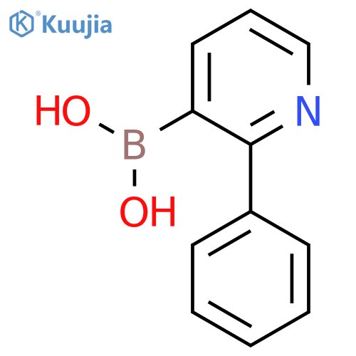 (2-Phenylpyridin-3-yl)boronic acid structure