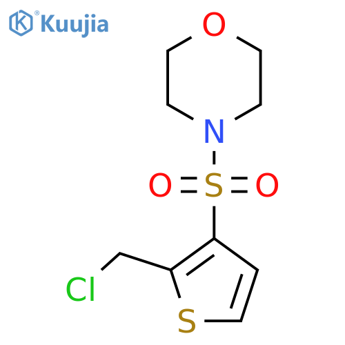 4-{2-(Chloromethyl)thien-3-ylsulfonyl}morpholine structure