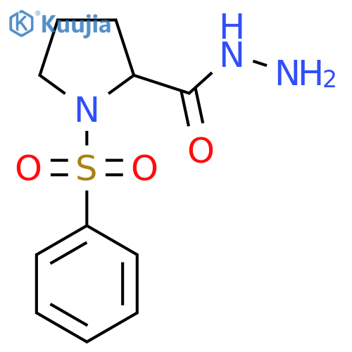 1-(Phenylsulfonyl)pyrrolidine-2-carbohydrazide structure